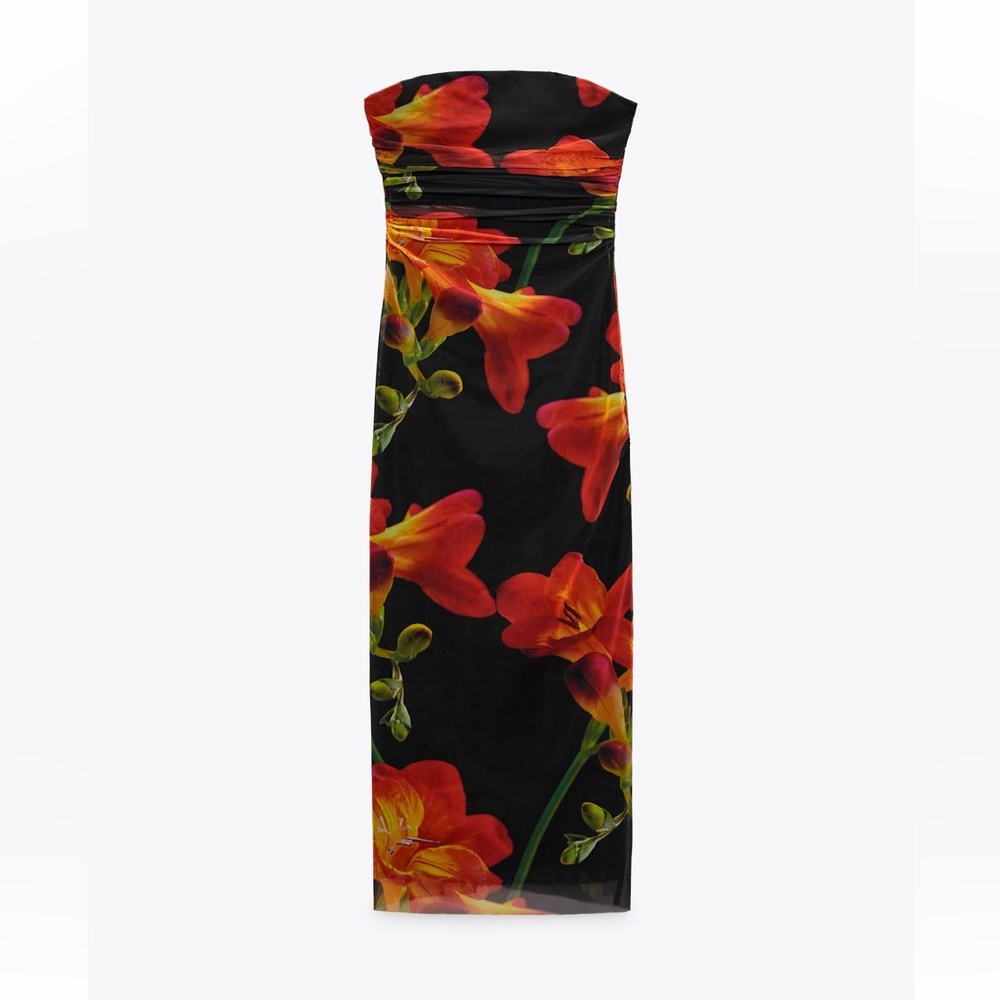 Zara Tulle Mesh Printed Dress